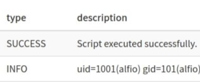 Execution output showing a success message and the command result uid=1001(alfio) gid=101(alfio).